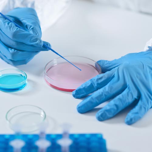 Fapas Proficiency Testing From Fera