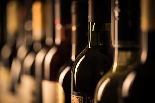 Wine Vinyard